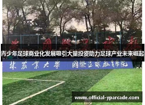 青少年足球商业化发展吸引大量投资助力足球产业未来崛起