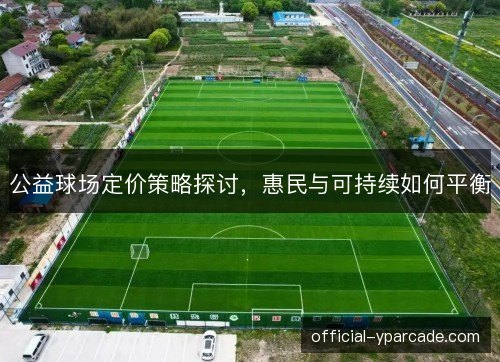 公益球场定价策略探讨，惠民与可持续如何平衡